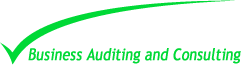 Business Auditing And Consulting
